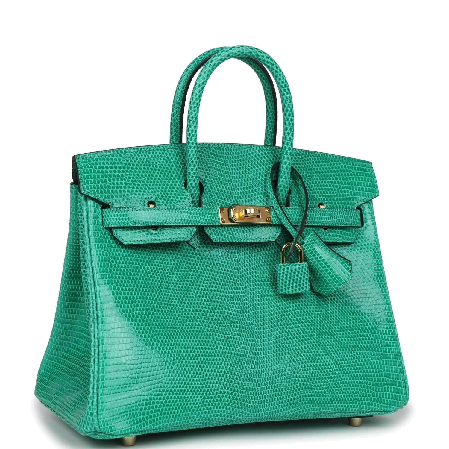 Hermes Birkin 25 Menthe Varanus Niloticus Lizard Gold Hardware Мята Varanus — фото 3