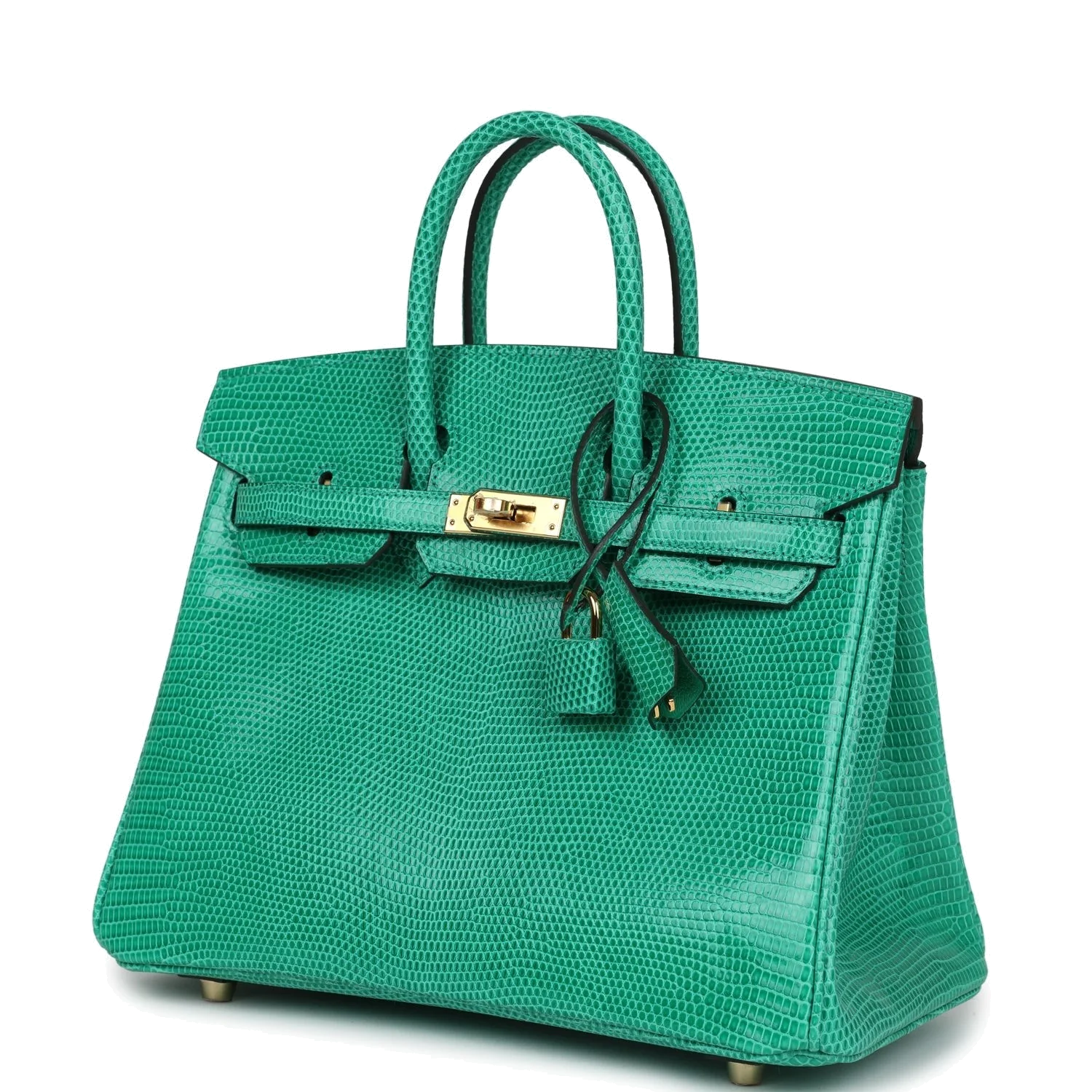 Hermes Birkin 25 Menthe Varanus Niloticus Lizard Gold Hardware Мята Varanus — фото 6