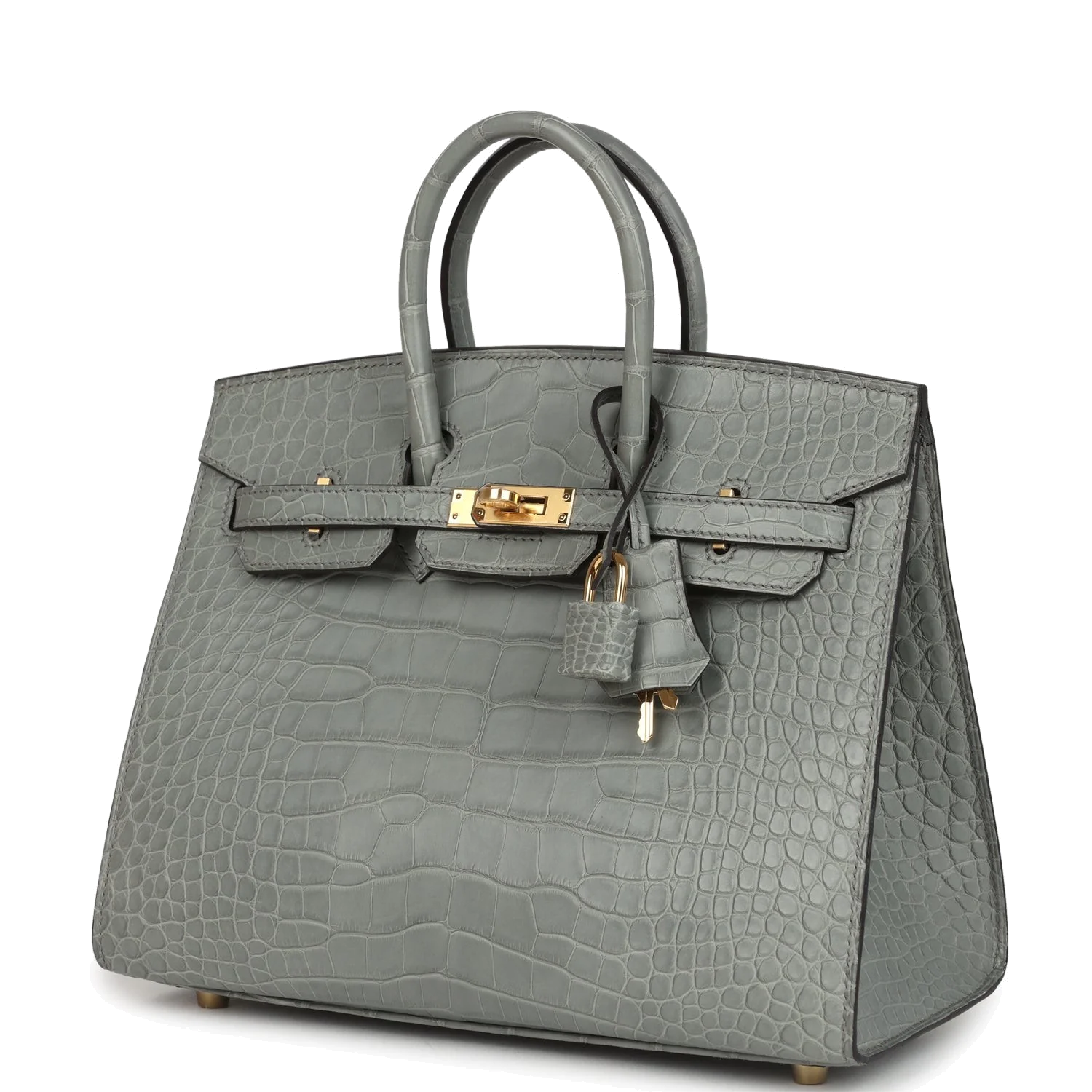 Hermes Birkin Sellier 25 Gris Ciment Matte Alligator Gold Hardware — фото 6