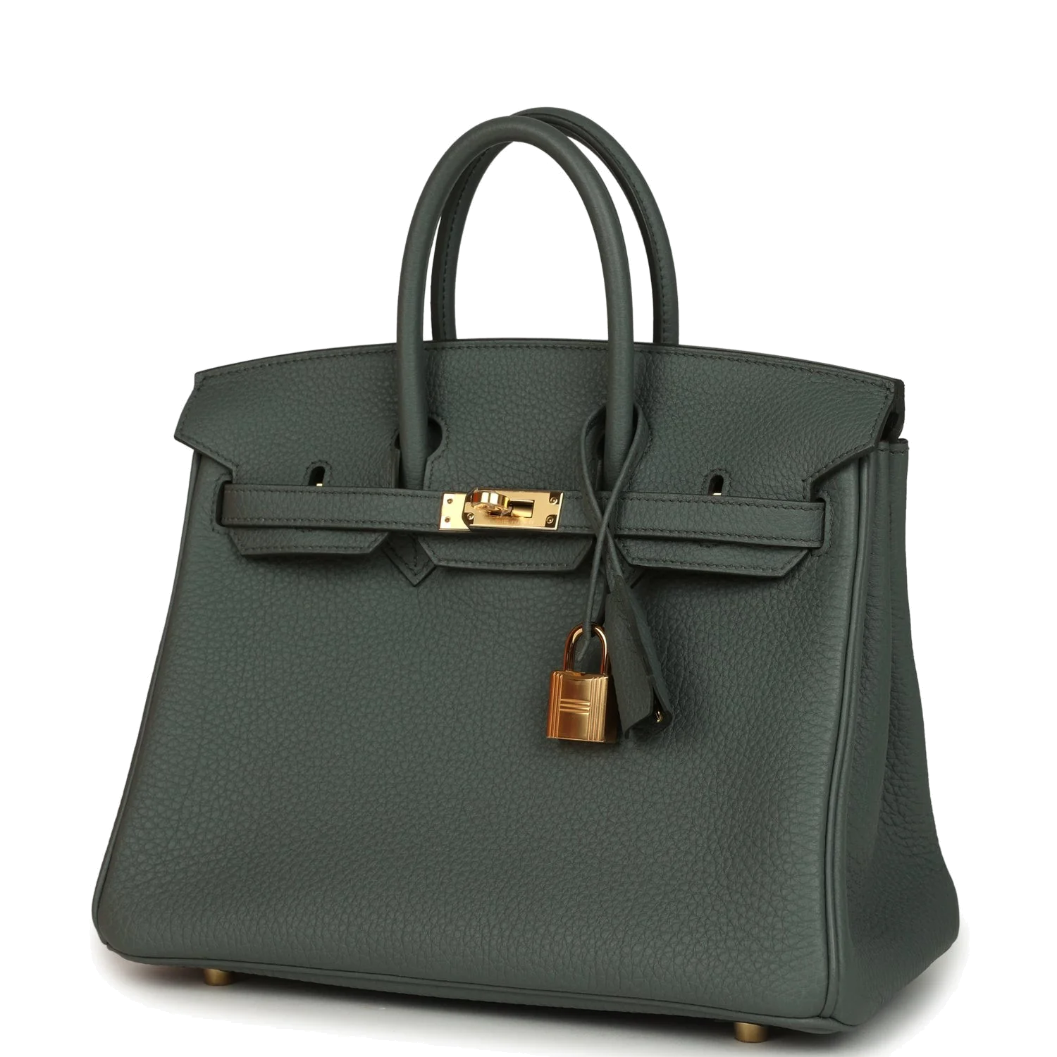 Hermes Birkin 25 Vert Amande Togo Gold Hardware Зеленый миндаль — фото 4