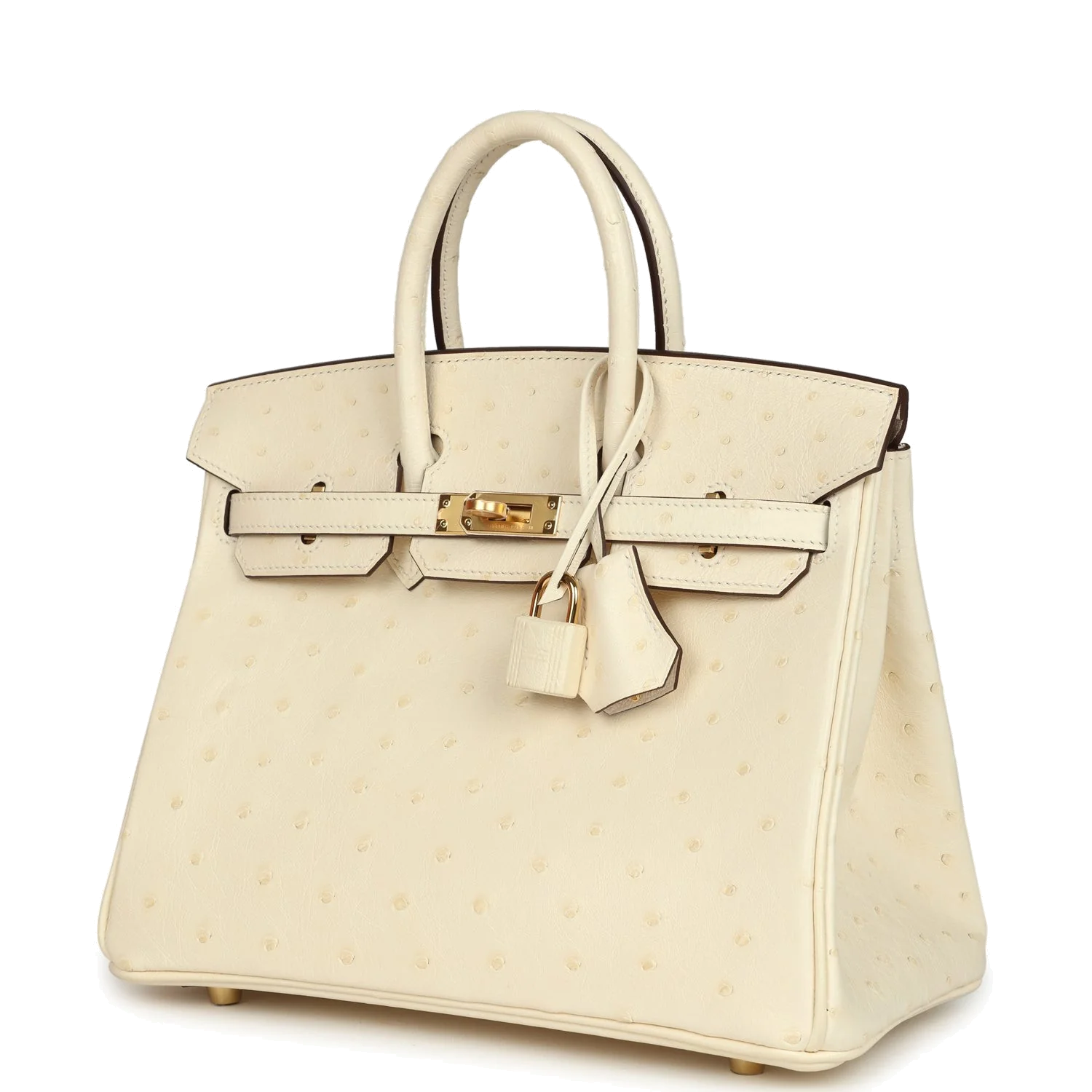 Hermes Birkin 25 Nata Ostrich Gold Hardware Ната страус — фото 4