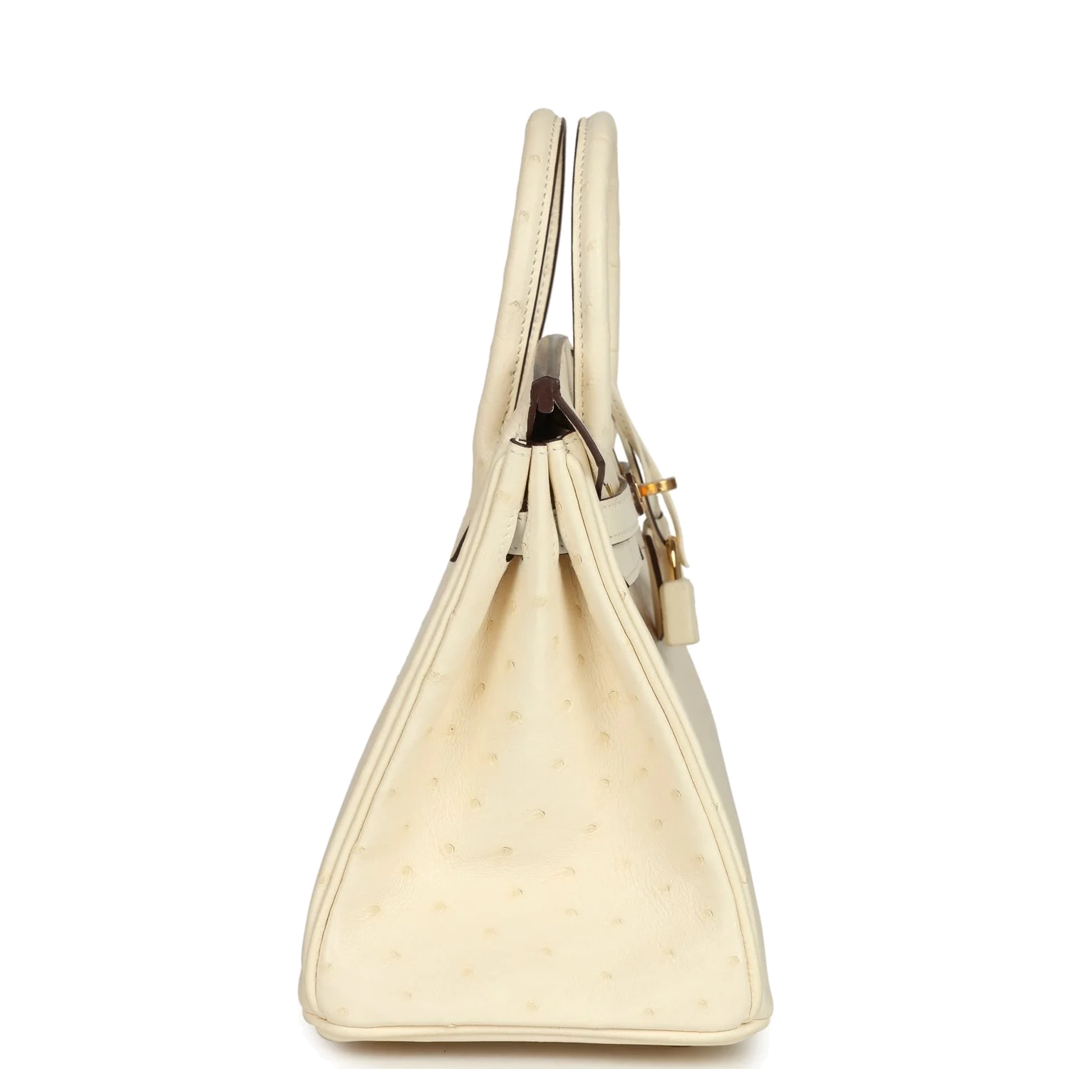 Hermes Birkin 25 Nata Ostrich Gold Hardware Ната страус — фото 5