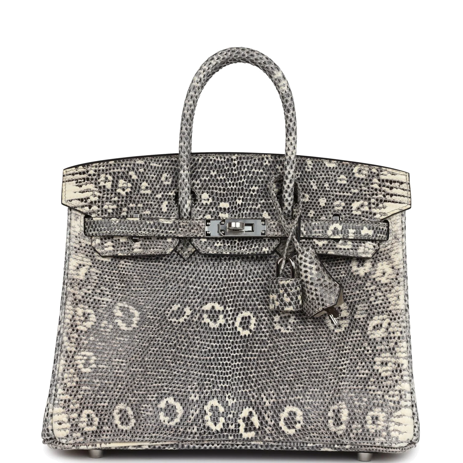 Hermes Birkin 25 Ombre Varanus Salvator Lizard Palladium Hardware Омбре Varanus — фото 1
