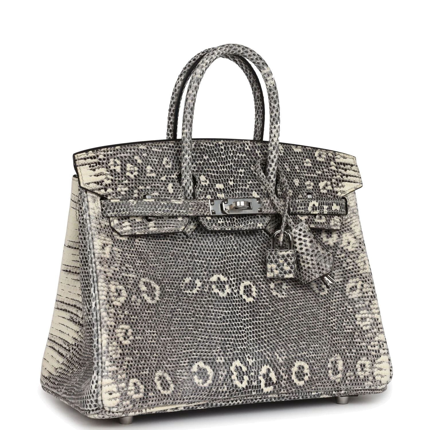 Hermes Birkin 25 Ombre Varanus Salvator Lizard Palladium Hardware Омбре Varanus — фото 3