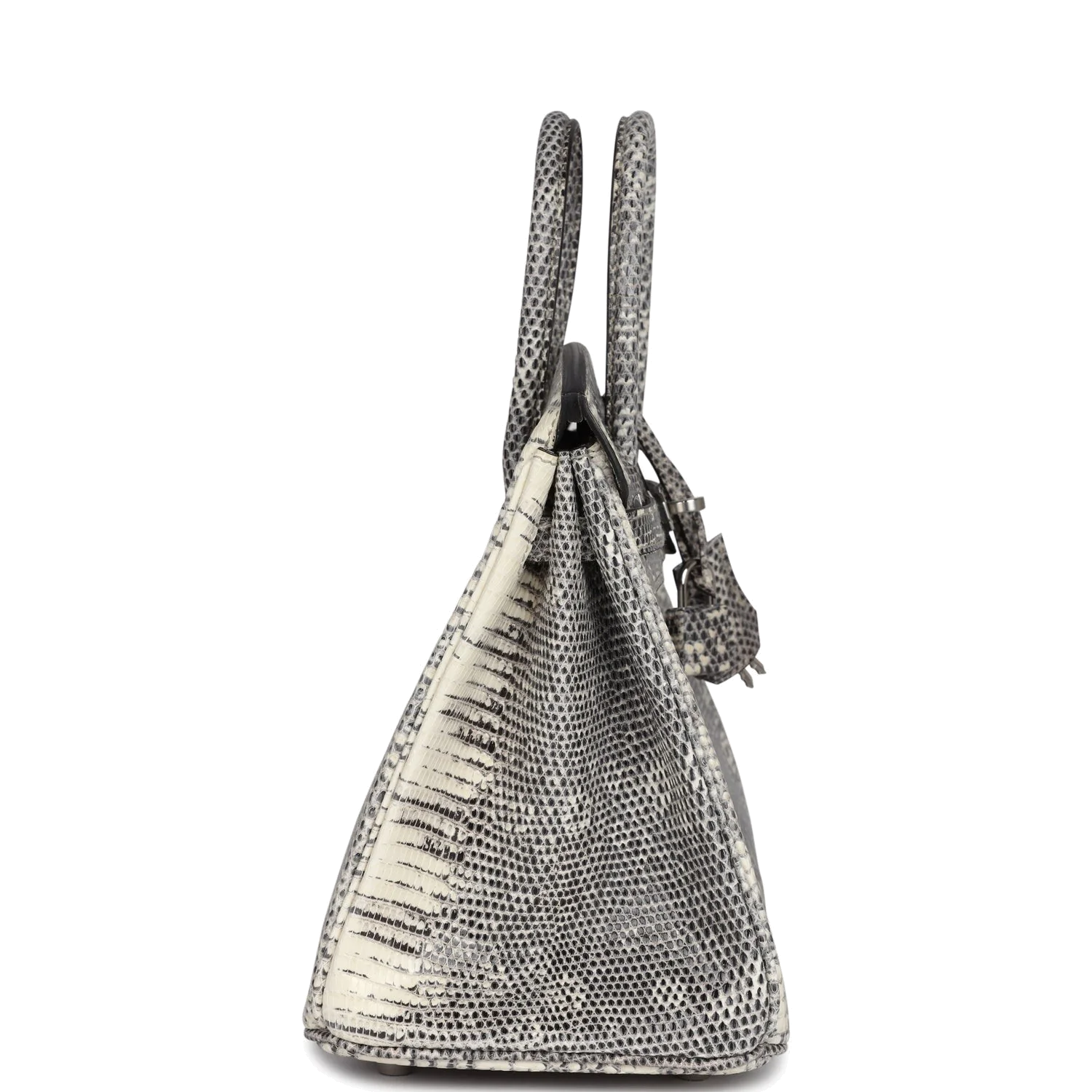 Hermes Birkin 25 Ombre Varanus Salvator Lizard Palladium Hardware Омбре Varanus — фото 4