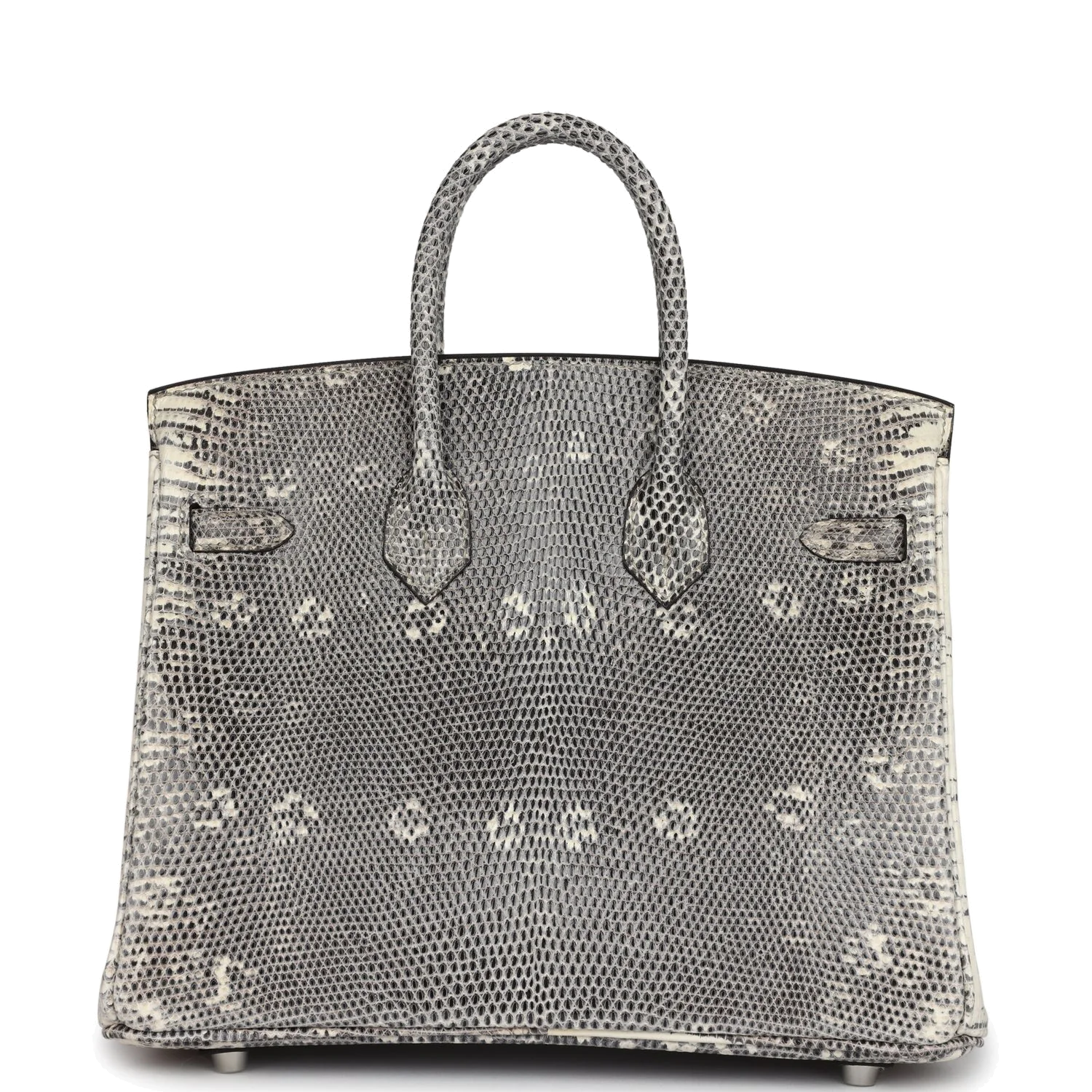Hermes Birkin 25 Ombre Varanus Salvator Lizard Palladium Hardware Омбре Varanus — фото 5