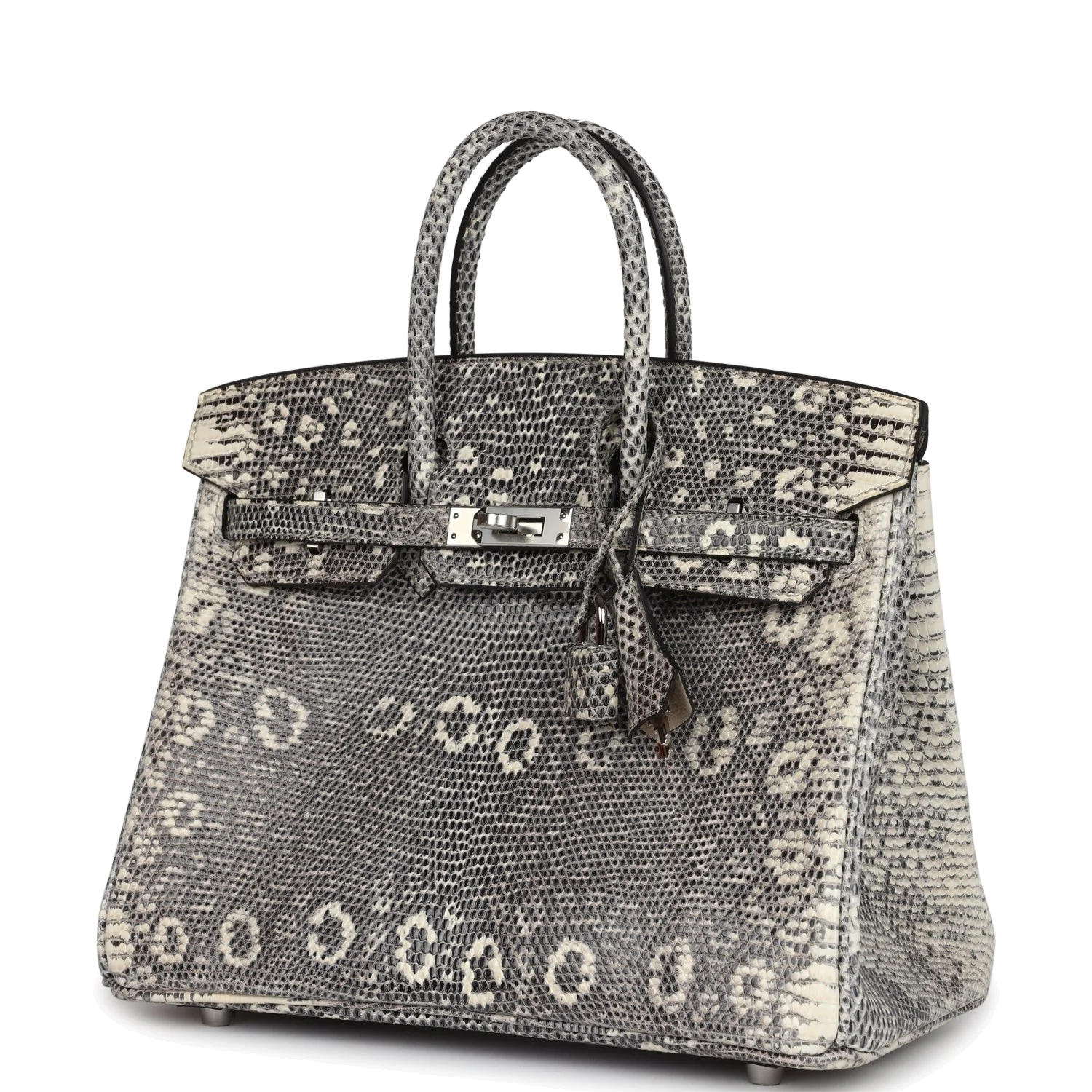 Hermes Birkin 25 Ombre Varanus Salvator Lizard Palladium Hardware Омбре Varanus — фото 6