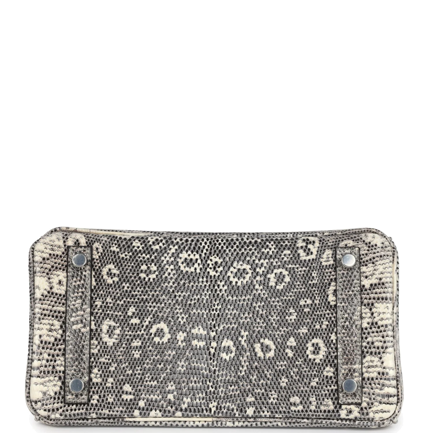 Hermes Birkin 25 Ombre Varanus Salvator Lizard Palladium Hardware Омбре Varanus — фото 7
