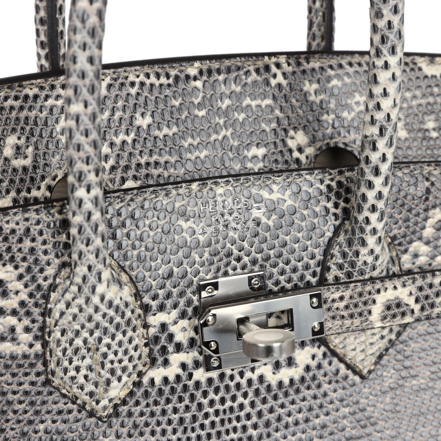 Hermes Birkin 25 Ombre Varanus Salvator Lizard Palladium Hardware Омбре Varanus — фото 8