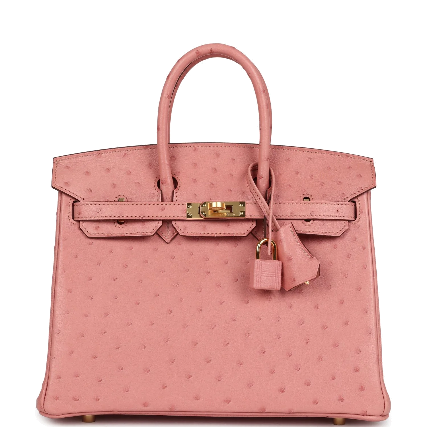 Hermes Birkin 25 Terre Cuite Ostrich Gold Hardware