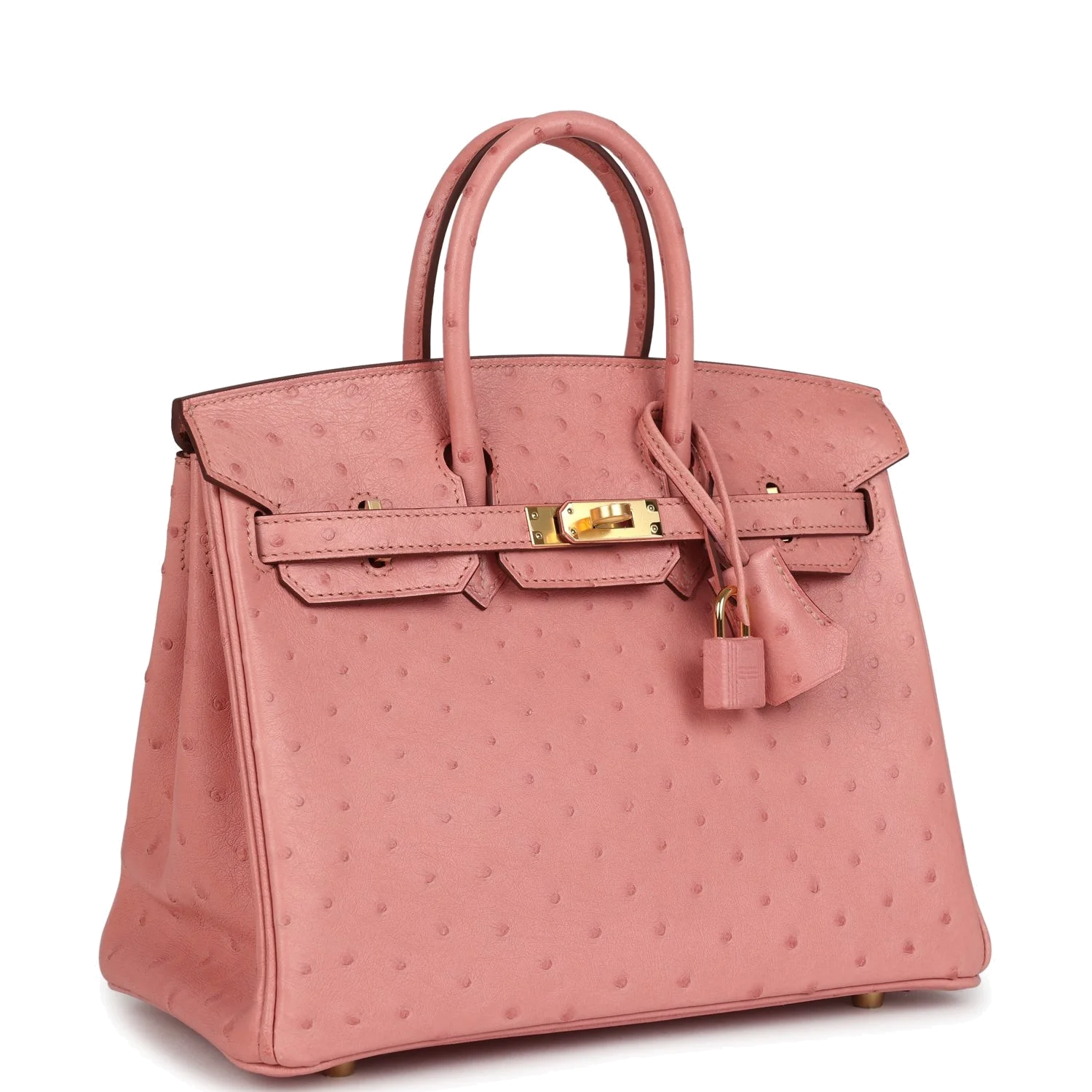 Hermes Birkin 25 Terre Cuite Ostrich Gold Hardware Терракота — фото 3