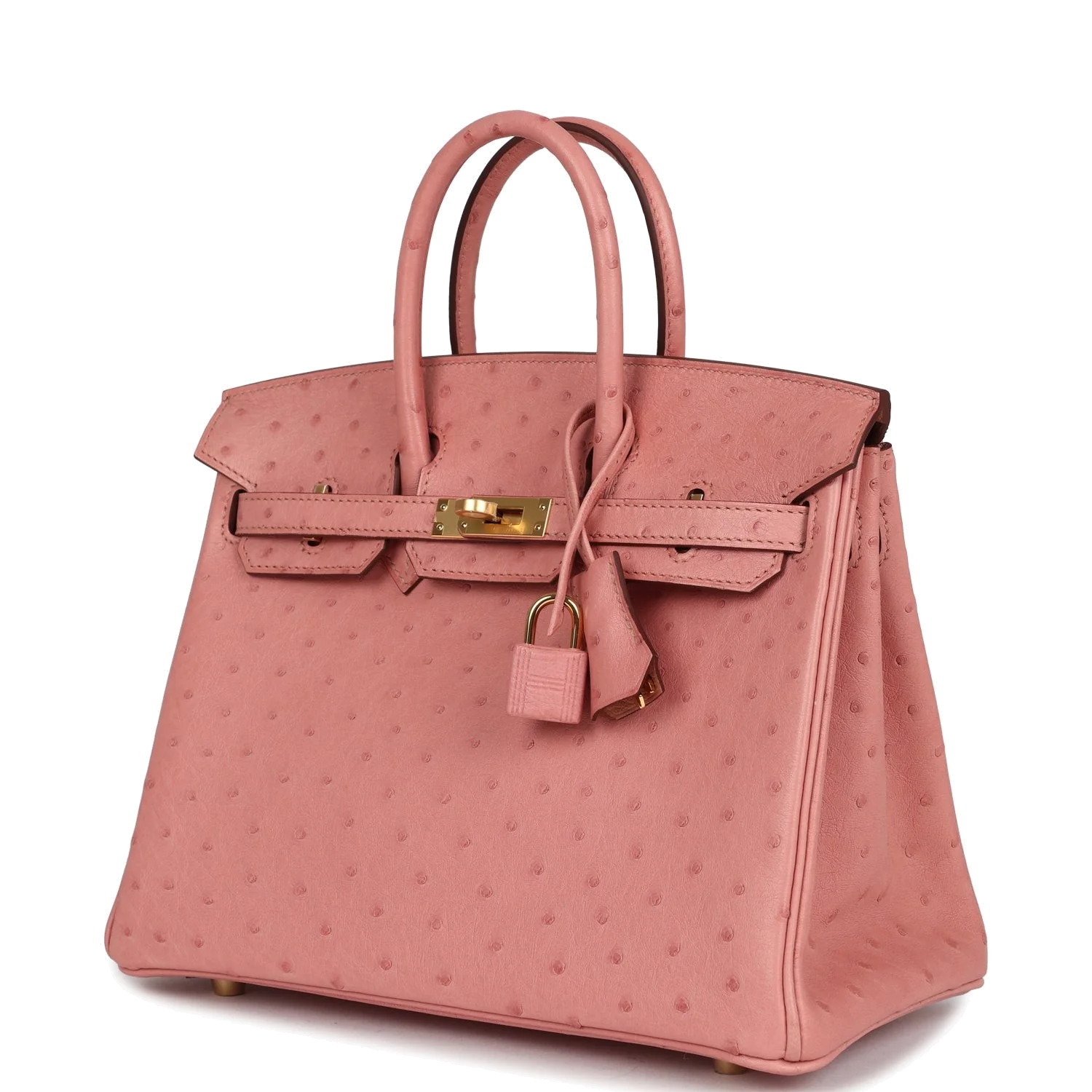 Hermes Birkin 25 Terre Cuite Ostrich Gold Hardware Терракота — фото 6