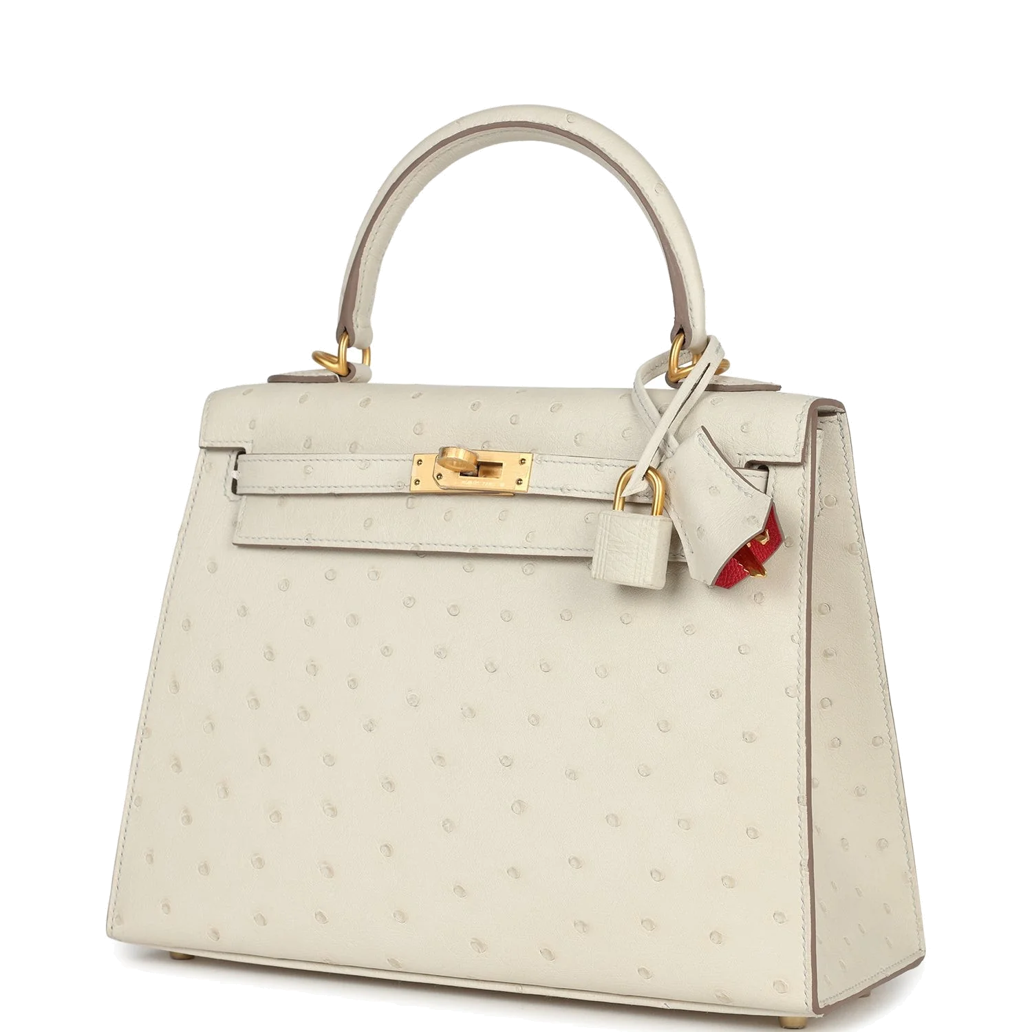 Hermes Special Order (HSS) Kelly Sellier 25 Beton Ostrich Verso Brushed Gold Hardware — фото 6