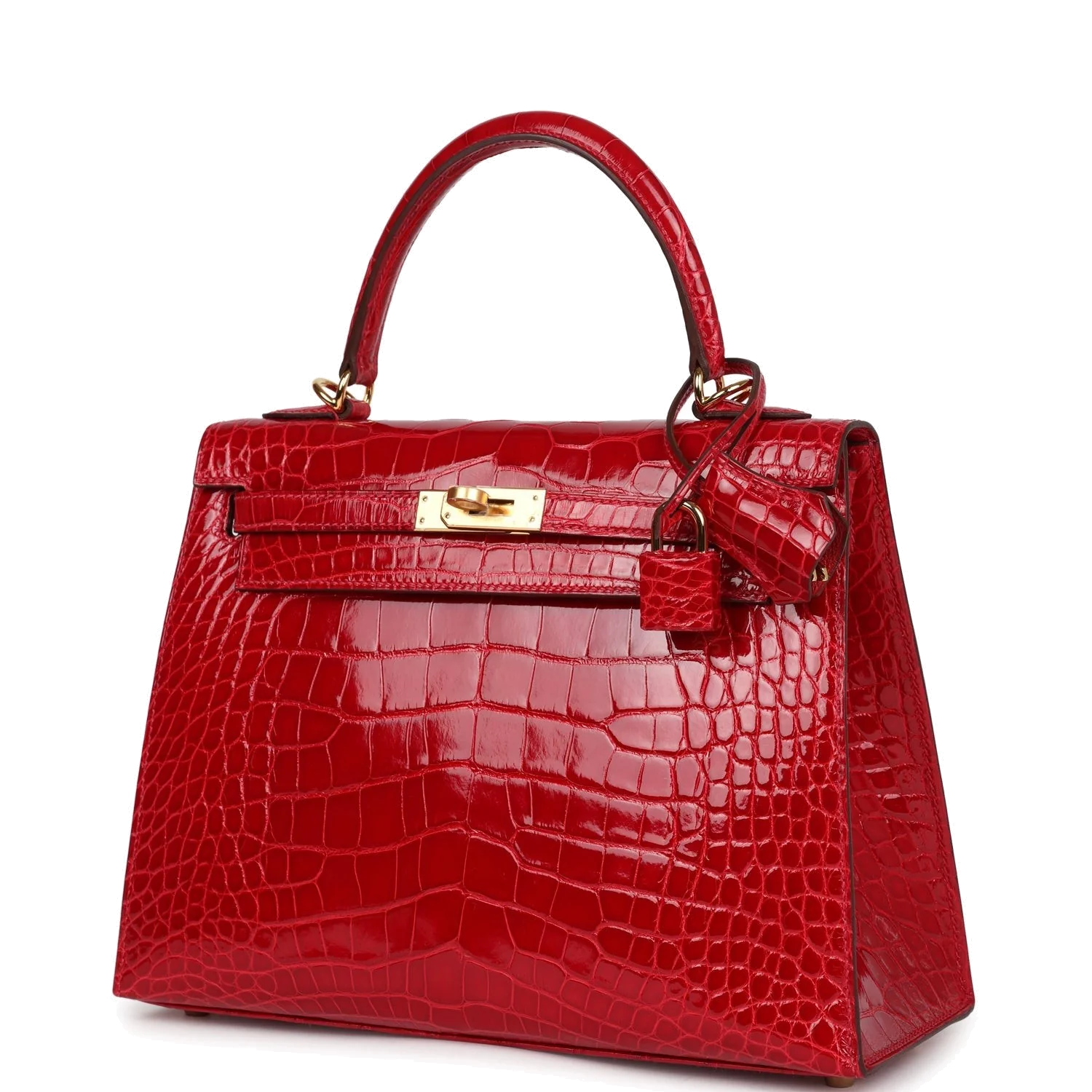 Hermes Kelly Sellier 25 Braise Shiny Alligator Mississippiensis Gold Hardware — фото 4