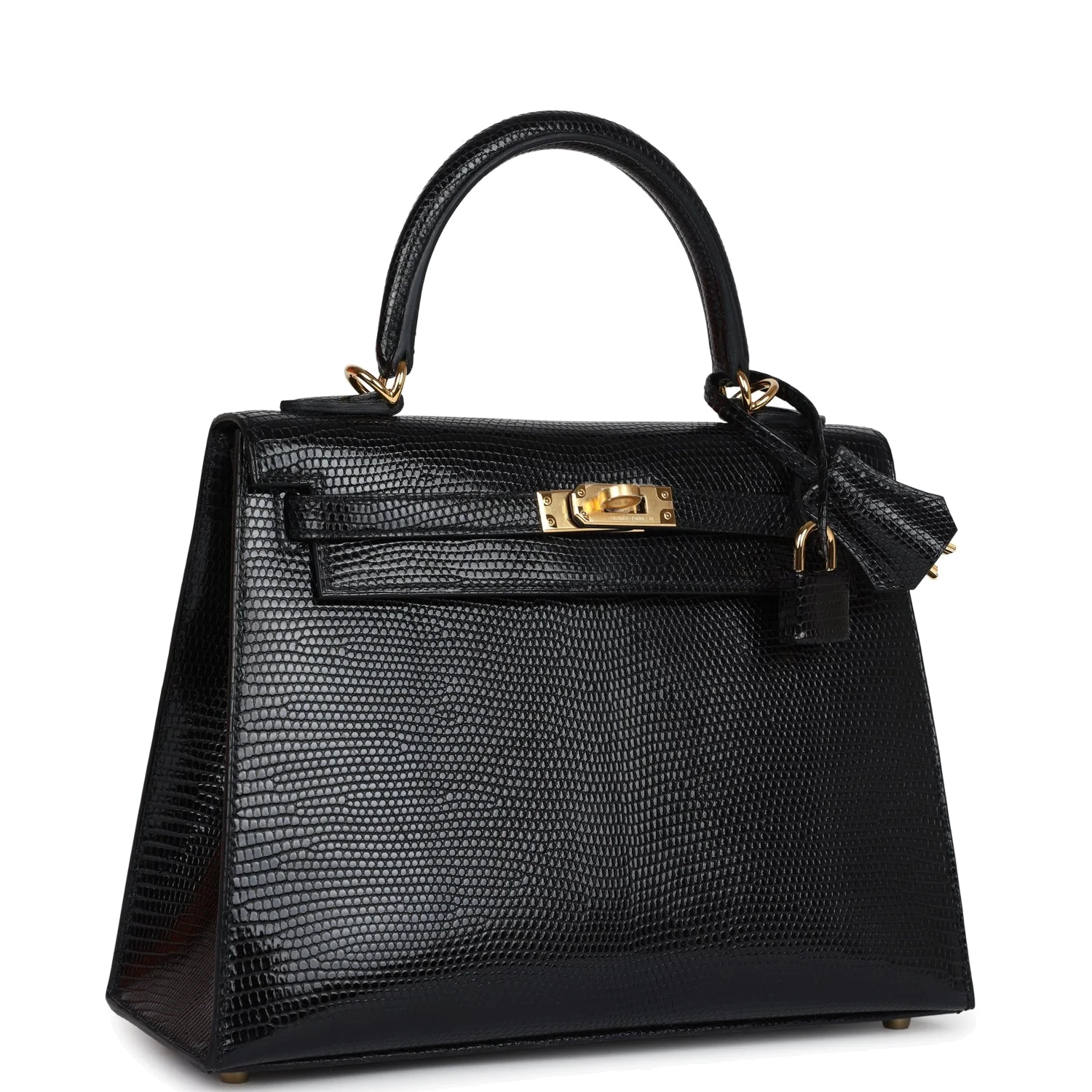 Hermes Kelly Sellier 25 Black Varanus Niloticus Lizard Gold Hardware — фото 3