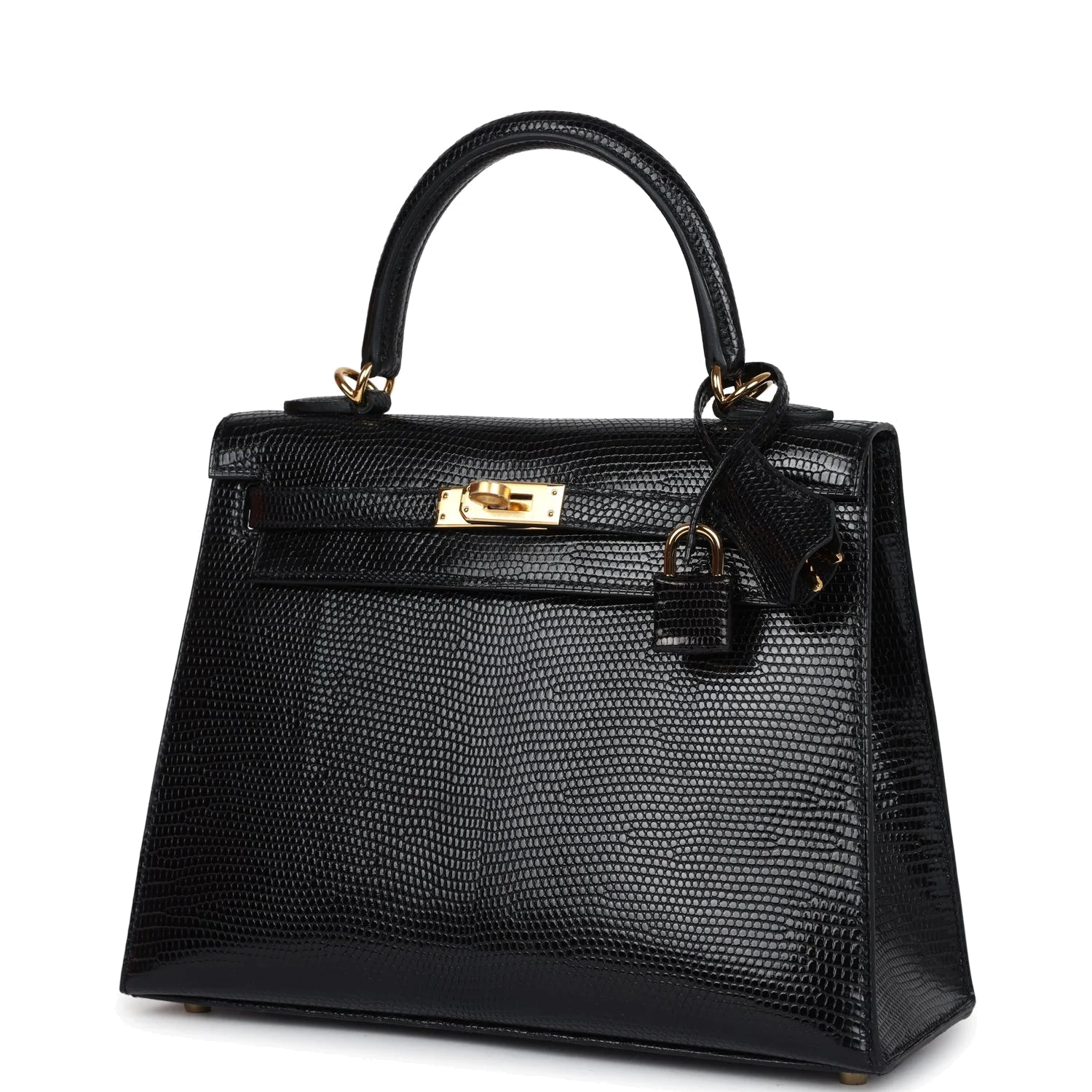 Hermes Kelly Sellier 25 Black Varanus Niloticus Lizard Gold Hardware — фото 6